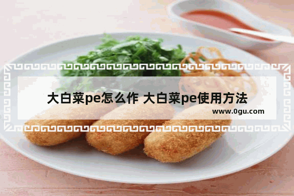 大白菜pe怎么作 大白菜pe使用方法