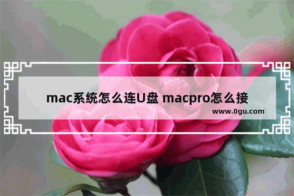 mac系统怎么连U盘 macpro怎么接优盘