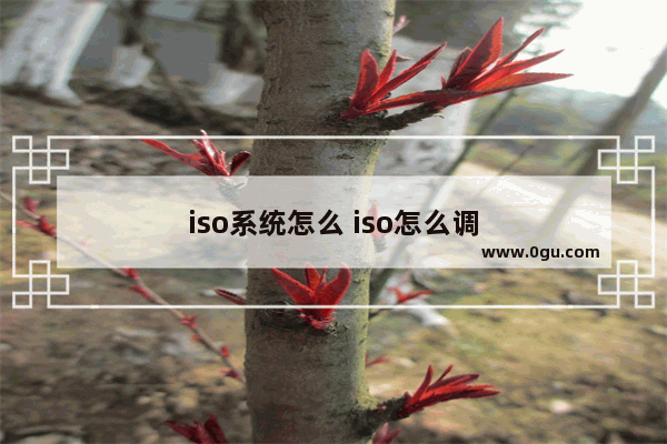 iso系统怎么 iso怎么调