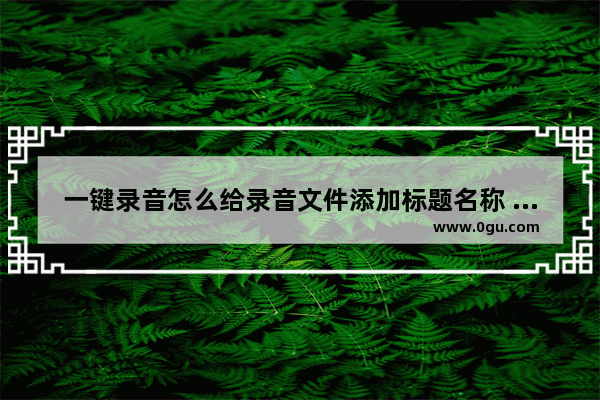 一键录音怎么给录音文件添加标题名称 一键录音添加标题名称的方法