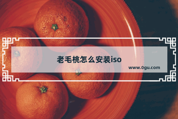 老毛桃怎么安装iso