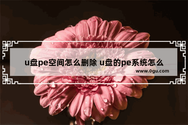 u盘pe空间怎么删除 u盘的pe系统怎么删除