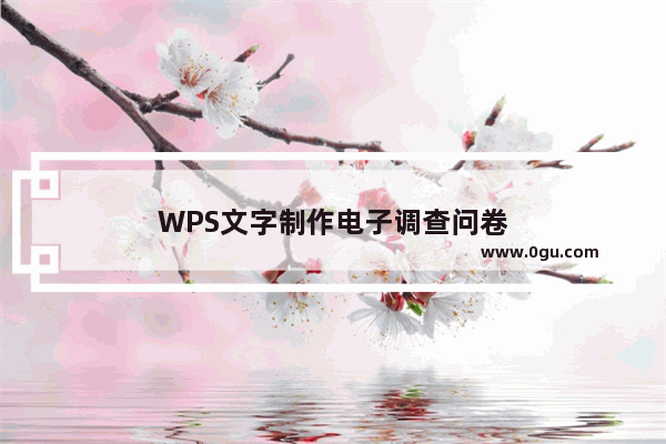 WPS文字制作电子调查问卷