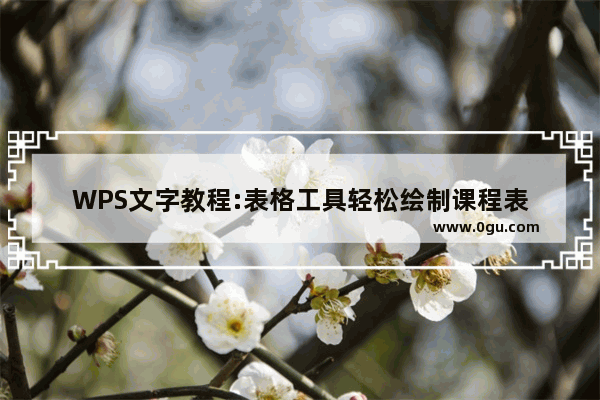 WPS文字教程:表格工具轻松绘制课程表