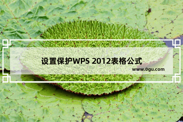 设置保护WPS 2012表格公式