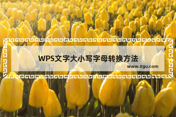 WPS文字大小写字母转换方法