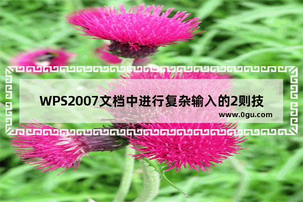 WPS2007文档中进行复杂输入的2则技巧