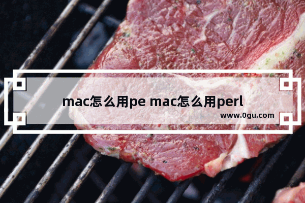 mac怎么用pe mac怎么用perl