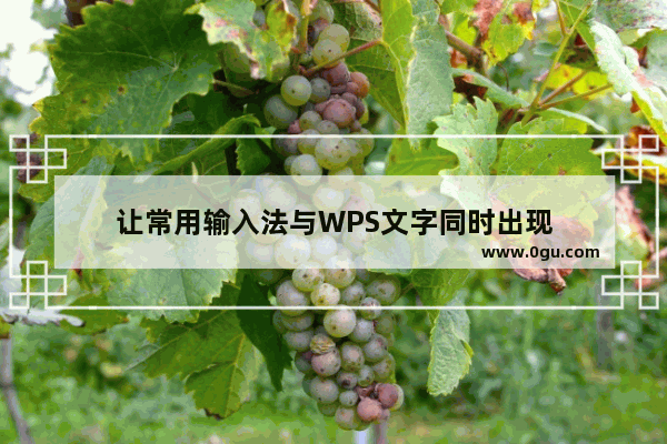 让常用输入法与WPS文字同时出现