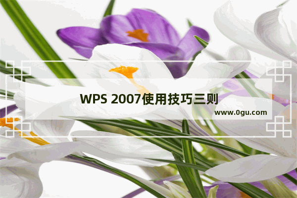 WPS 2007使用技巧三则