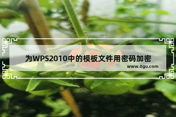 为WPS2010中的模板文件用密码加密