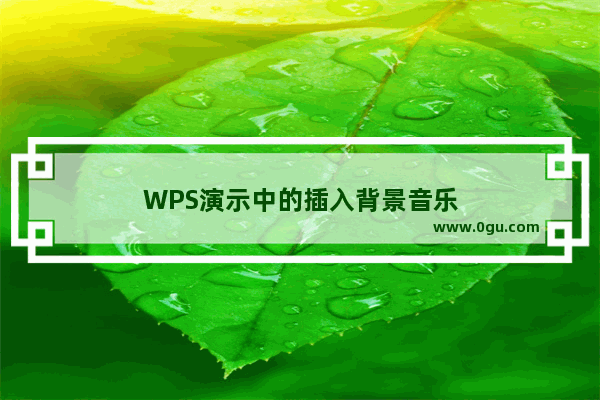 WPS演示中的插入背景音乐