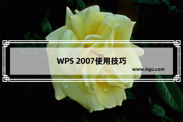 WPS 2007使用技巧