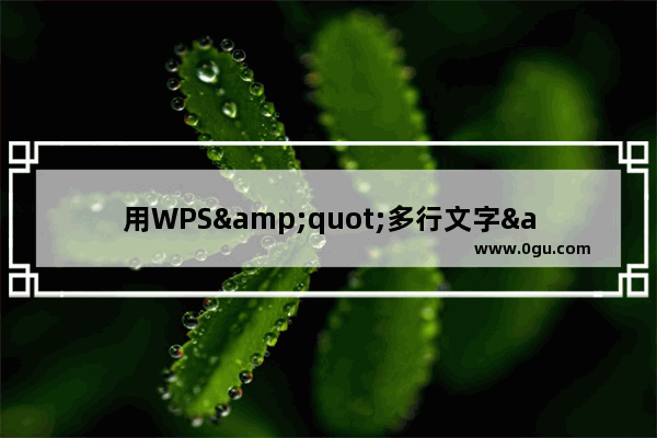 用WPS&quot;多行文字&quot;造字