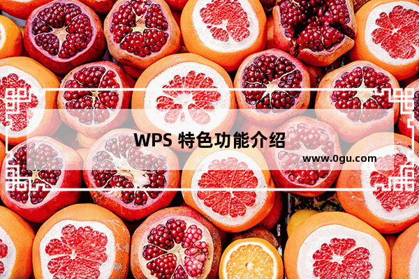 WPS 特色功能介绍