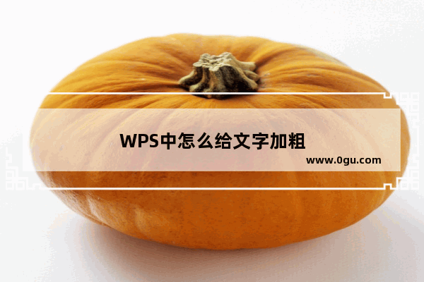 WPS中怎么给文字加粗