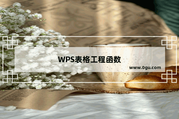 WPS表格工程函数