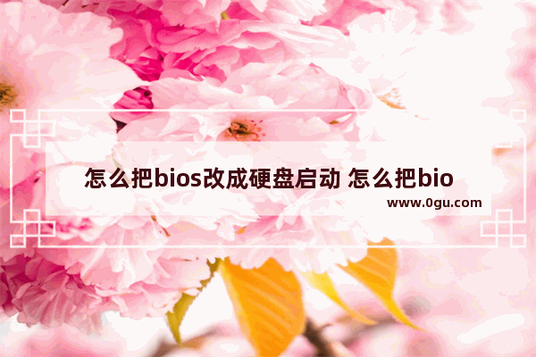 怎么把bios改成硬盘启动 怎么把bios改成硬盘启动模式