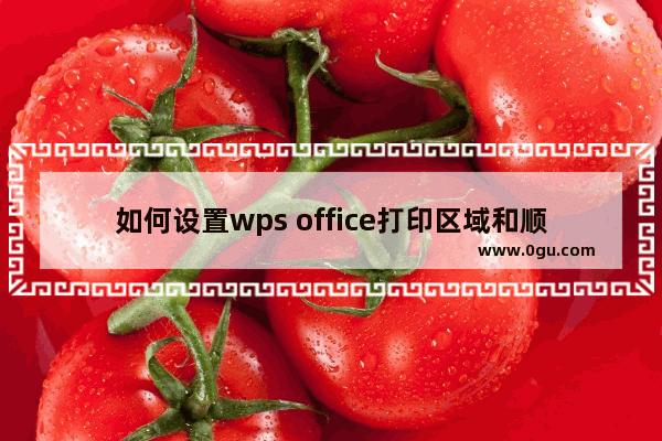 如何设置wps office打印区域和顺序？