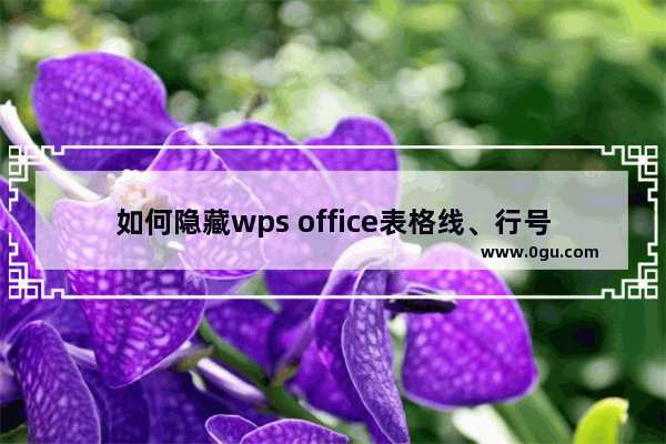 如何隐藏wps office表格线、行号列标？