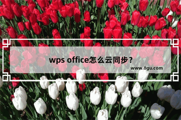 wps office怎么云同步？