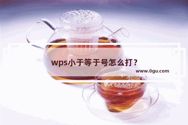 wps小于等于号怎么打？