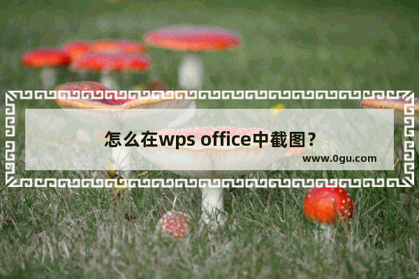 怎么在wps office中截图？