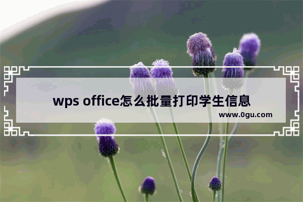 wps office怎么批量打印学生信息表？