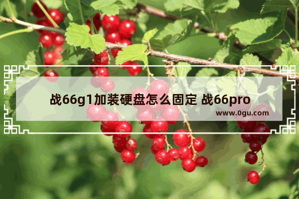 战66g1加装硬盘怎么固定 战66prog1怎么加固态