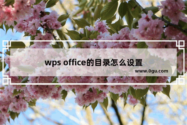 wps office的目录怎么设置