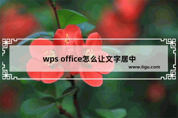 wps office怎么让文字居中