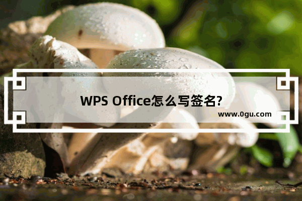 WPS Office怎么写签名?