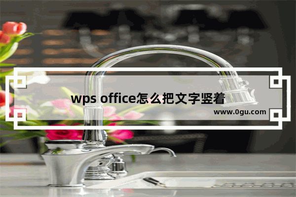 wps office怎么把文字竖着