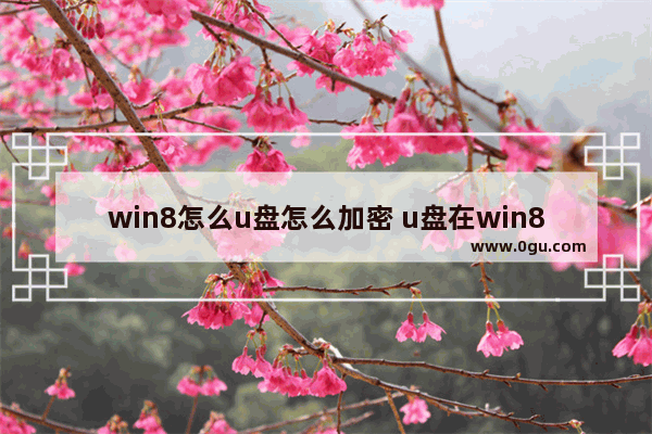 win8怎么u盘怎么加密 u盘在win8如何上锁