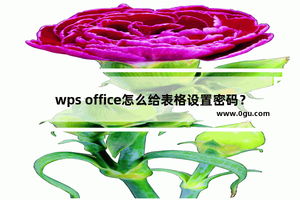 wps office怎么给表格设置密码？