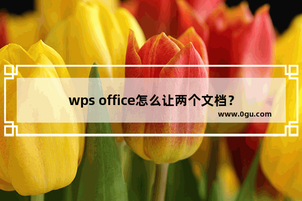 wps office怎么让两个文档？