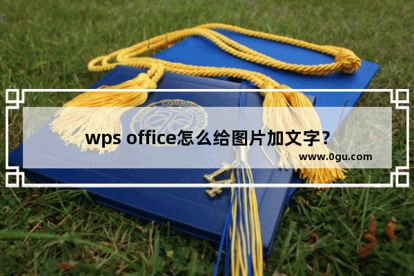 wps office怎么给图片加文字？