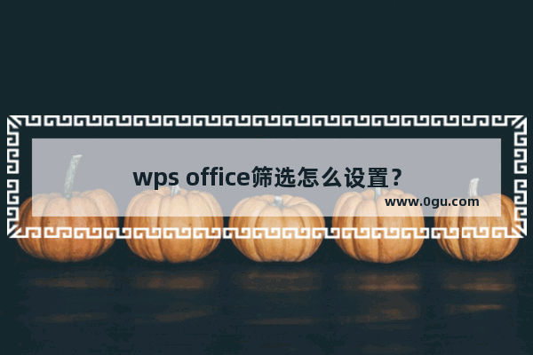 wps office筛选怎么设置？