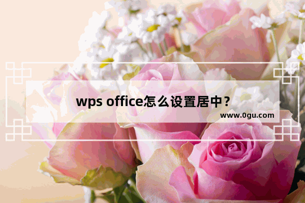 wps office怎么设置居中？