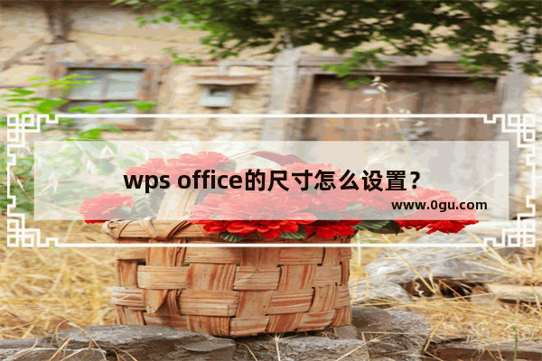 wps office的尺寸怎么设置？