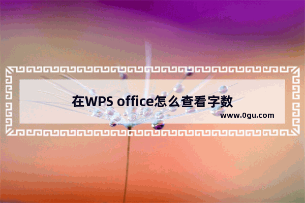 在WPS office怎么查看字数