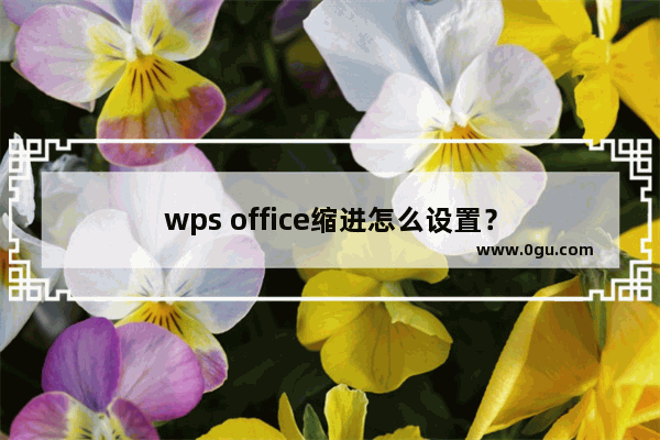 wps office缩进怎么设置？