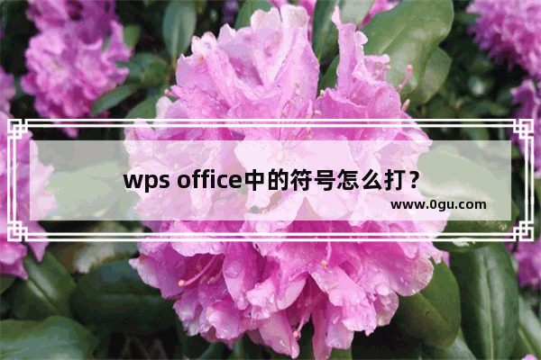 wps office中的符号怎么打？