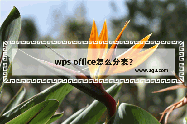 wps office怎么分表？