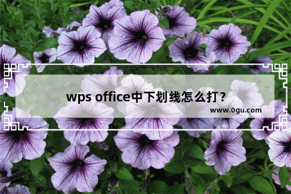 wps office中下划线怎么打？