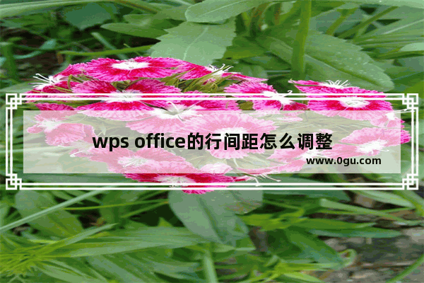 wps office的行间距怎么调整