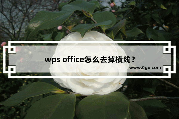 wps office怎么去掉横线？