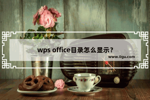 wps office目录怎么显示？