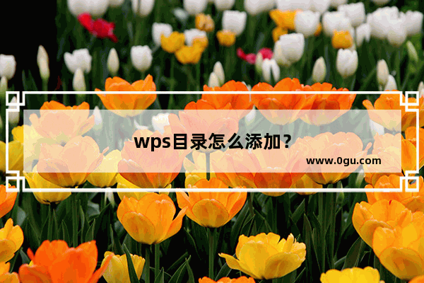 wps目录怎么添加？