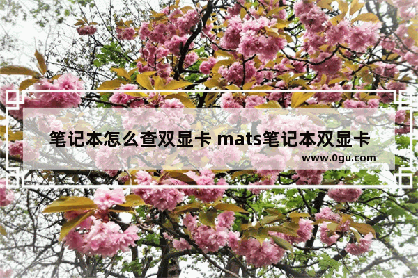 笔记本怎么查双显卡 mats笔记本双显卡怎么检测